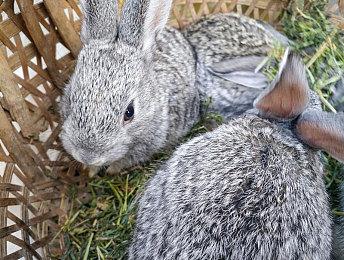 《最终幻想7：重生》通信塔和召唤兽介绍 游戏很有趣